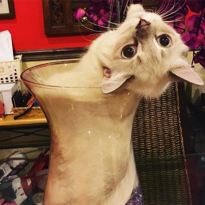   ,          ...