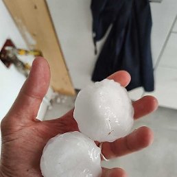 �������, ������, 40 ���