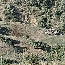 ����, ������, 33 ����