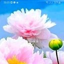 ���� ��� ������, ����, 57 ��� - ��������� 23 ������� 2023