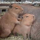 ���� �������, �����-���������, 25 ��� - ��������� 22 ��� 2023 � ������ ���� ����������