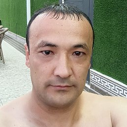 ����, �������, 36 ���