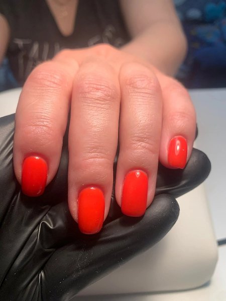 ,   .    ,    ,    ... - 2