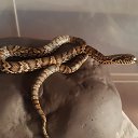 ���� �����, ���������, 36 ��� - ��������� 26 ����� 2023 � ������ ���� ����������