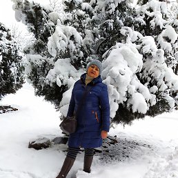 ���� ������, �������, 64 ���� - ��������� 1 �������� 2023