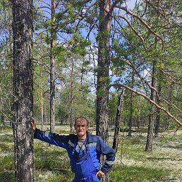 ������, ������ ��������, 52 ����