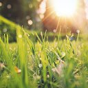 ���� ������, �����, 64 ���� - ��������� 30 ���� 2023