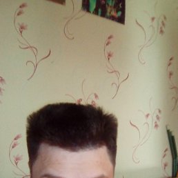 ���� �������, ������ ��������, 41 ��� - ��������� 1 ������� 2023