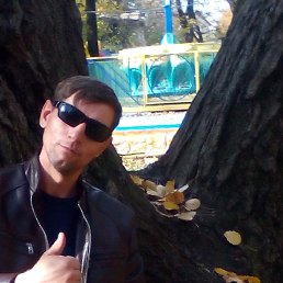 �������, ������, 44 ����