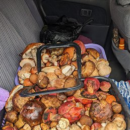 ���� ������, �����������, 55 ��� - ��������� 24 �������� 2023