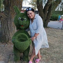 ����, ���������, 49 ���