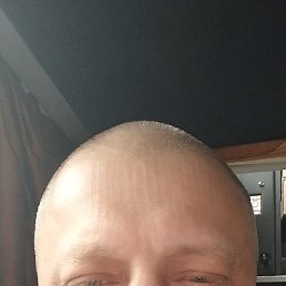 , 51, 