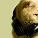 ���� ������, ��������, 46 ��� - ��������� 7 ������� 2023 � ������ ���� ����������