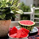 ���� ����, �������������, 101 ��� - ��������� 24 ���� 2023