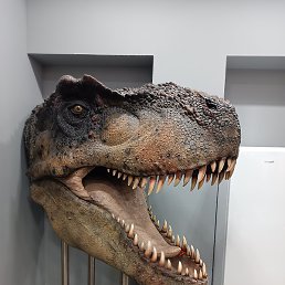 ����, ������, 44 ����