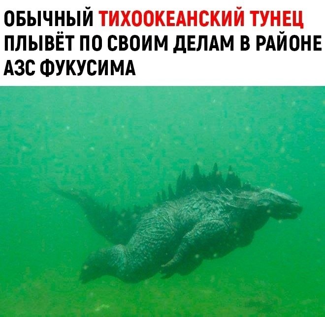 a po https://fotostrana.ru/away?to=/sl/rJT3