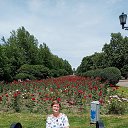 ���� �������, �������-����������, 57 ��� - ��������� 11 ���� 2023 � ������ ���� ����������