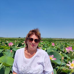 �����, ���������, 56 ���