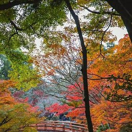 �������, ����, 56 ���