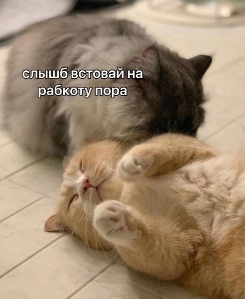    - 22  2023  18:20