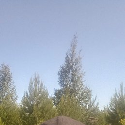 ���� ����, ������, 40 ��� - ��������� 21 ���� 2023