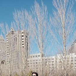 ������, ������, 38 ���