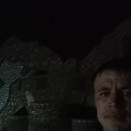 ����, �������, 36 ���