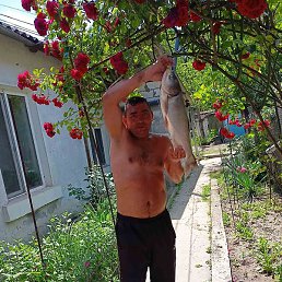 ��������, �������, 55 ���