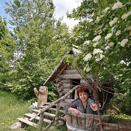 �������, ��������, 52 ����