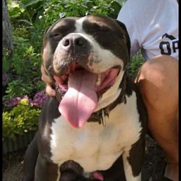 ����, ������, 48 ���