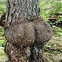 ���� ����, ������, 37 ��� - ��������� 23 ���� 2023