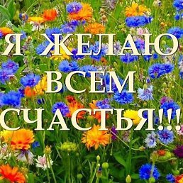 �����, ������, 64 ����