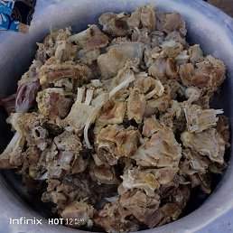 ���� �������, ������, 41 ��� - ��������� 4 ����� 2023