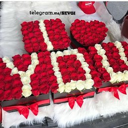 Alim, ����, 37 ���