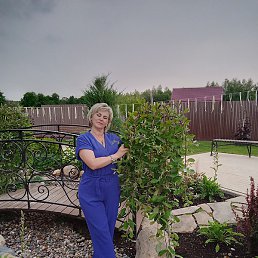 �������, �����-���������, 54 ����