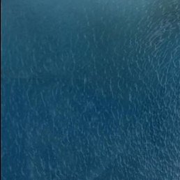 ������, ���������, 22 ����