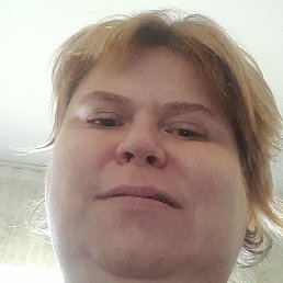 �����, ������, 41 ���