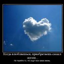  Hjvfyhjvfy1988, , 60  -  15  2023    