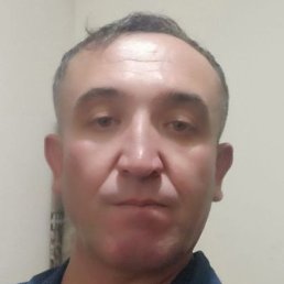 �������, �����, 42 ����