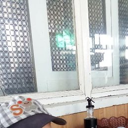 �����, �����-���������, 37 ���