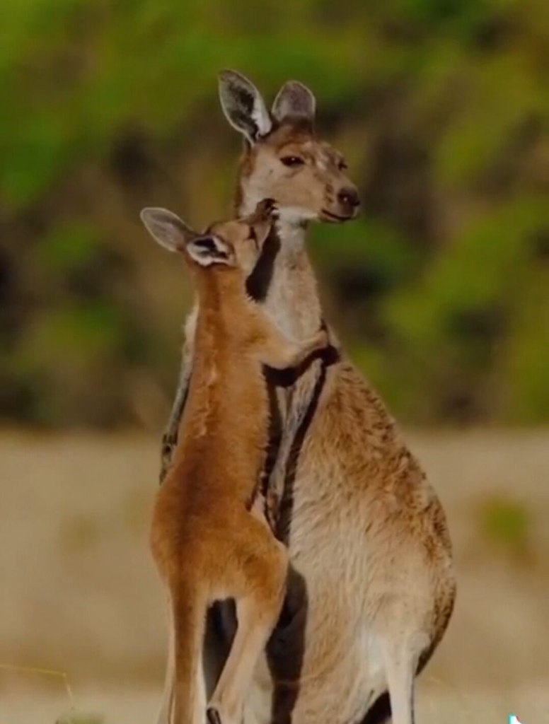  , ,     .     ...  ...