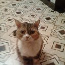 ���� �������, ������, 55 ��� - ��������� 10 ���� 2023 � ������ ���� ����������