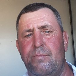 ������, ������, 49 ���