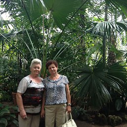 ������, ���������, 74 ����