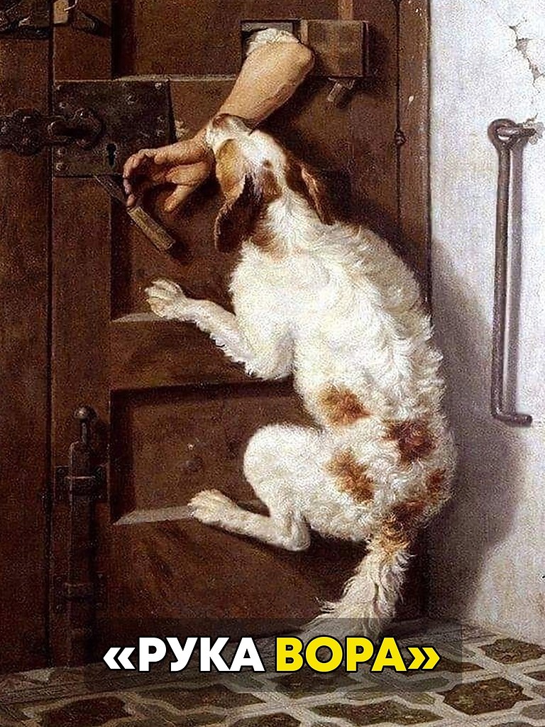 ,      ,    1864 .