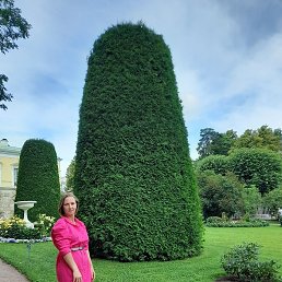 �����, �����-���������, 41 ���