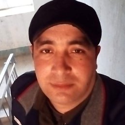 ������, ������, 36 ���