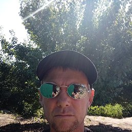 ����, ������, 41 ���