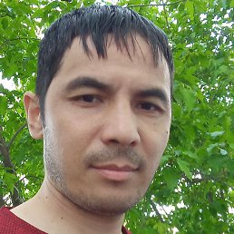 ������, ������, 41 ���