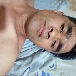 ����, �������������, 48 ���